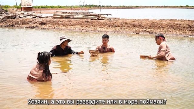 ЛОВИМ и ЕДИМ КРАБОВ, ФУГУ, МОЛЛЮСКОВ во Вьетнамской глубинке! Путешествие по Вьетнаму 2022. смотреть онлайн