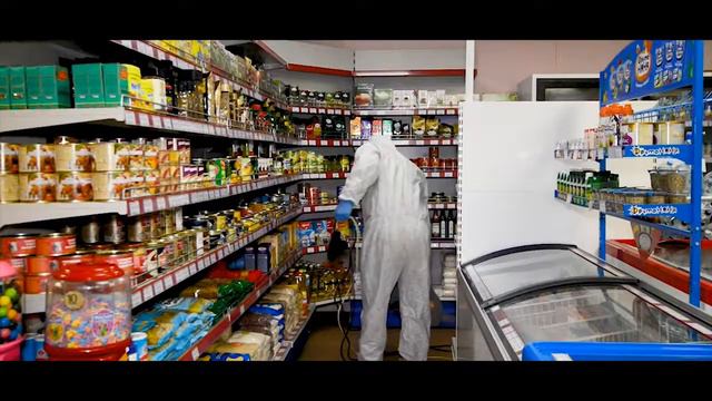 Дезинсекция в магазине www.borodach.store смотреть онлайн