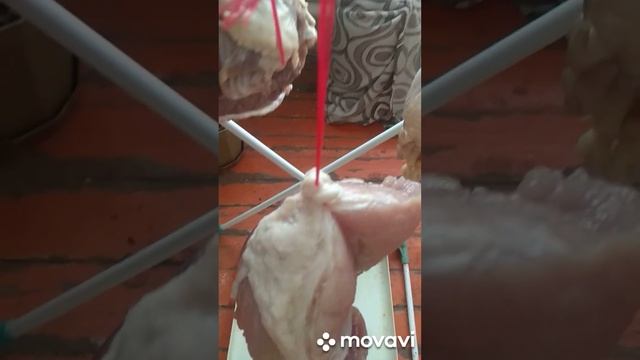 Моё домашнее копчение. Переработка домашнего мяса в копчёный продукт. смотреть онлайн