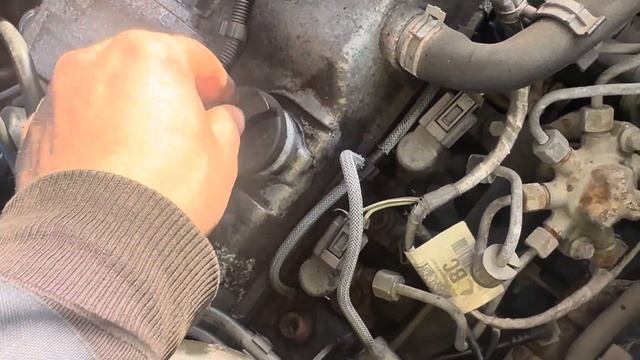 Разборка Ford - Transit (Tourneo) Connect 2002-2013, 1,8 (VIN: WF0TXXTTPT7E43790) NH07WFS смотреть онлайн