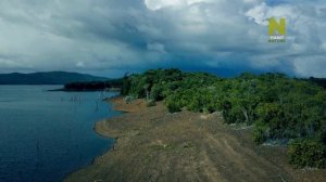 Законы Серенгети