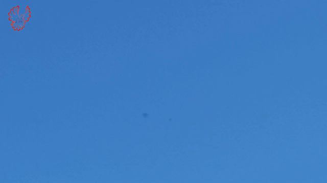Голуби. 27.12.2021г. -17°С. смотреть онлайн