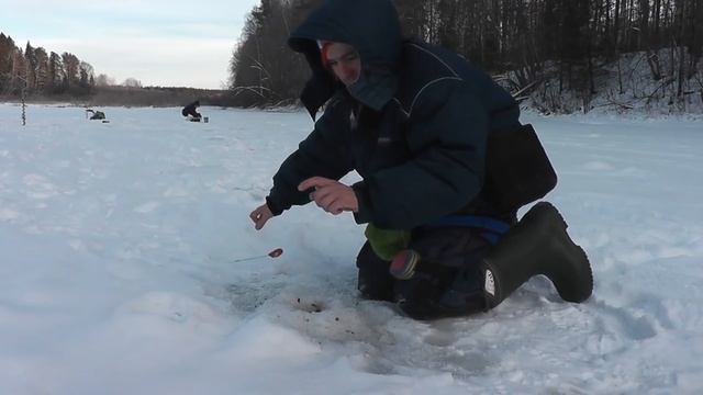 Окунь на спортивную мормышку. С сыном на рыбалку. Мороз не страшен - Болен Рыбалкой №595 смотреть онлайн