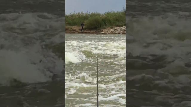 Шолака Рыбалка смотреть онлайн