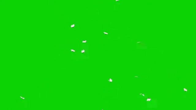 Белые бабочки на зеленом фоне. Футаж для монтажа смотреть онлайн