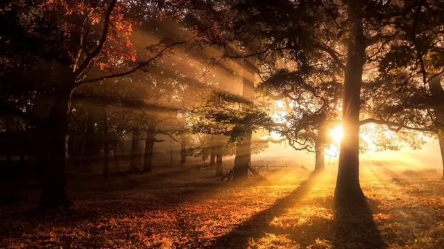 Сегодня загадайте свое желание и Архангел Михаил его исполнит. смотреть онлайн