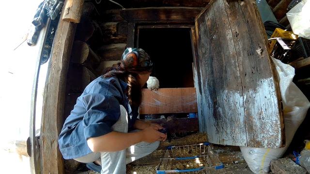 Вес бройлерных индюков в месяц // Таблица роста Бронза-708, Хайбрид-конвертер// Мое хозяйство смотреть онлайн