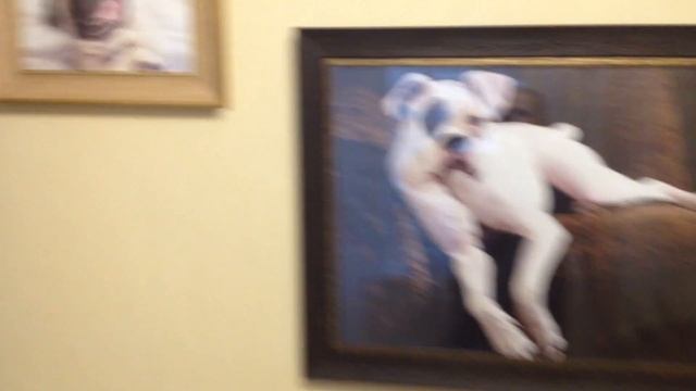 ДИЗАЙН И РЕАЛИЗАЦИЯ ПРОЕКТА ООО"СТРОЙВЗАИМОДЕЙСТВИЕ " МАСТЕР-ДИЗАЙНЕР : НАХЛУЧКИН ДМИТРИЙ ВИКТОРОВИ смотреть онлайн