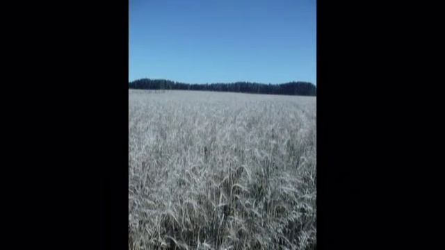 Слово об учителе смотреть онлайн