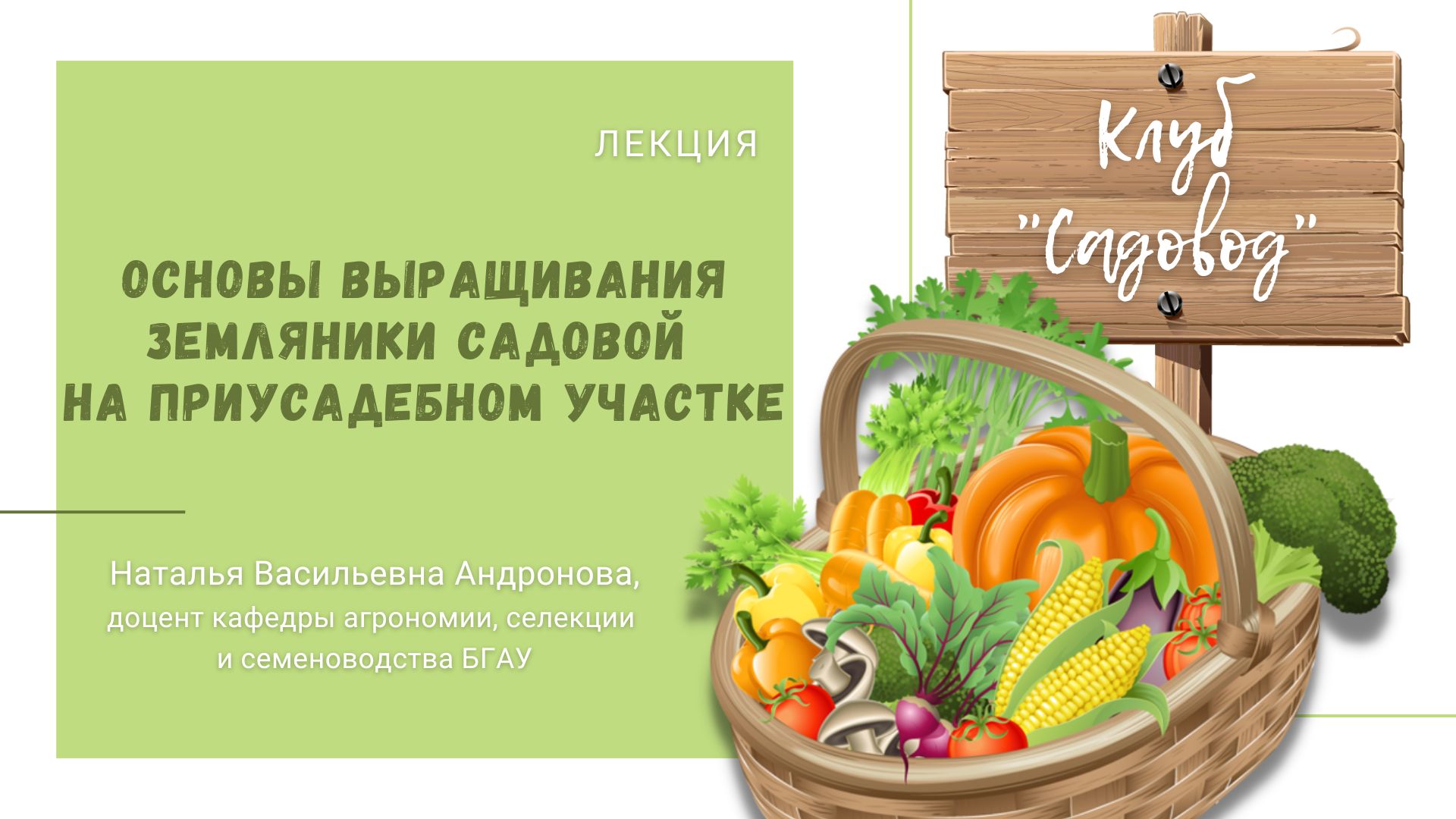 Лекция Н.В. Андроновой «Основы выращивания земляники садовой на приусадебном участке». Часть 2