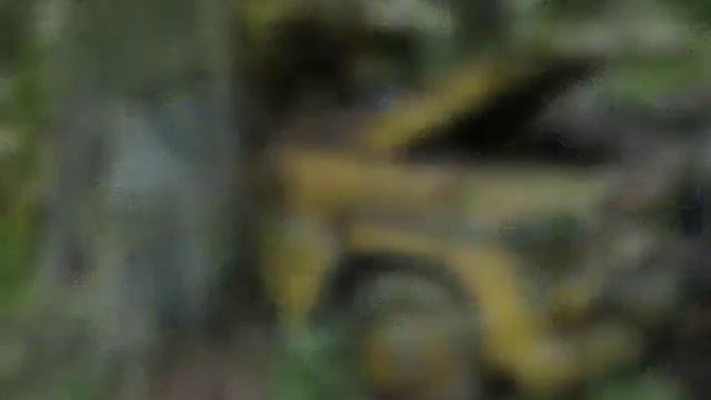 30 Заброшенных автомобилей в лесу смотреть онлайн