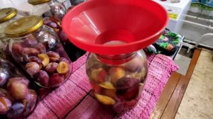 Компот из слив на зиму/простой и быстрый рецепт