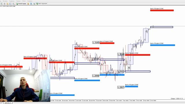 Уровни центральных банков на FOREX #форекс #трейдинг #прогноз #forex #бизнес смотреть онлайн