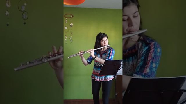 Caprice étude Nº 2 Allegro - (T. Boehm) смотреть онлайн