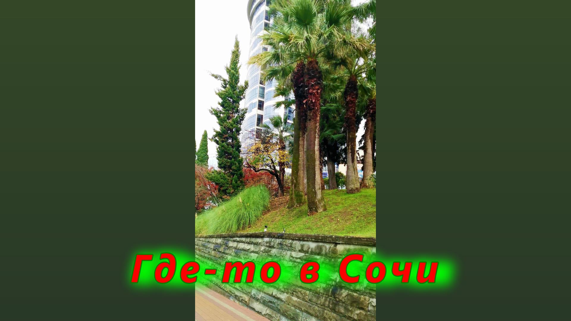 Где-то в Сочи смотреть онлайн