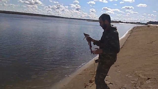 Что делать, когда поймал рыбу из Красной Книги? смотреть онлайн
