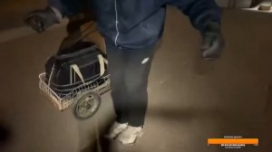 Штребух танцует под Фиксиков