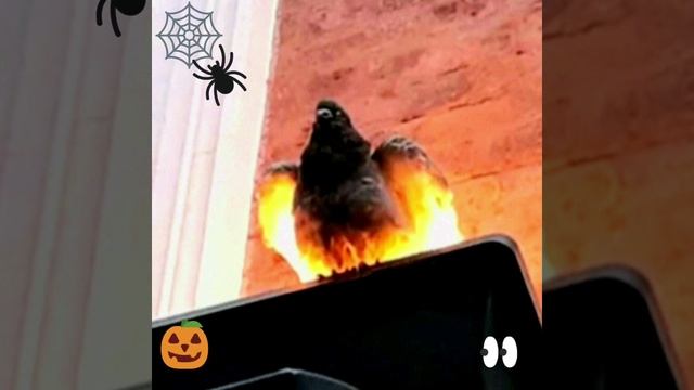 Страшилки смотреть онлайн