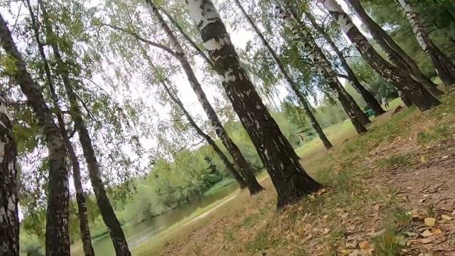 Хотели кофе на природе