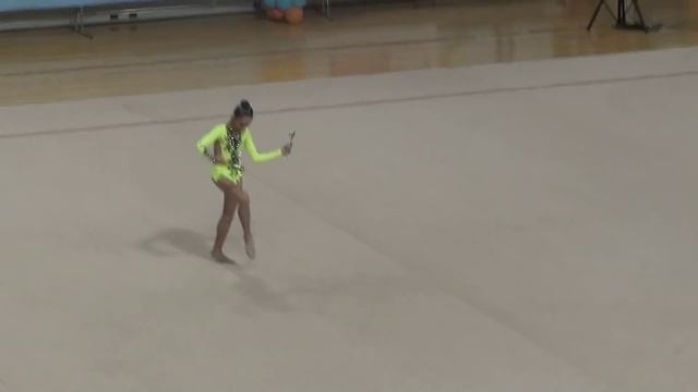 Дынина булавы НР 2011