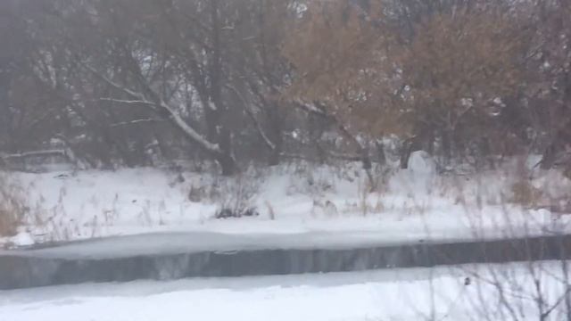 г.Валуйки Белгородская область Зима Valuiki Belgorod oblast смотреть онлайн