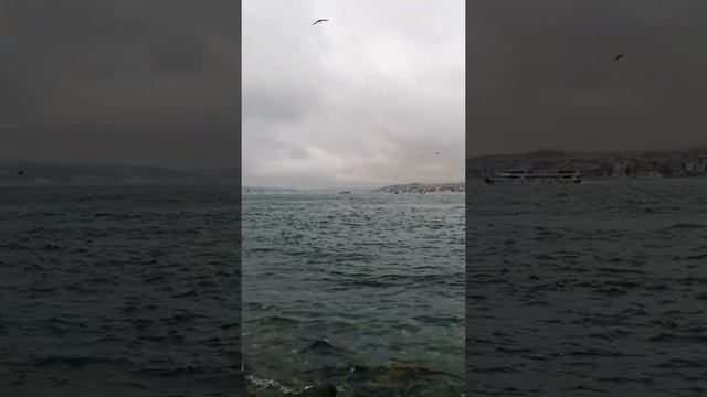 В Стамбуле обязательно надо прогуляться вдоль пролива Босфор смотреть онлайн