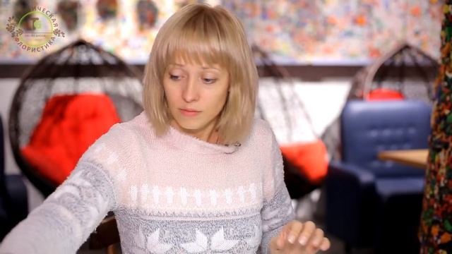 сундук для денег смотреть онлайн