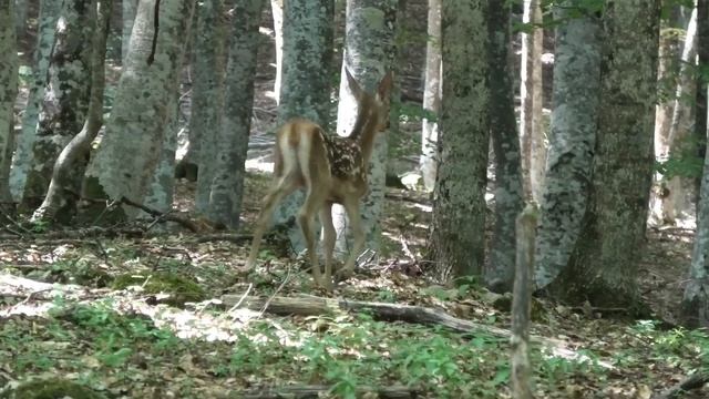 Эпиляция: как преодолеть страх и сделать процедуру комфортной?