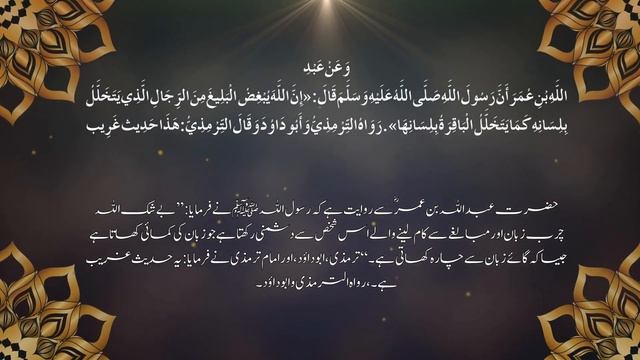 Zaban Ko Zariya Amdan Banane Wale Log || Darse Hadees || Mufti Ata Ur Rahman Speeches. смотреть онлайн