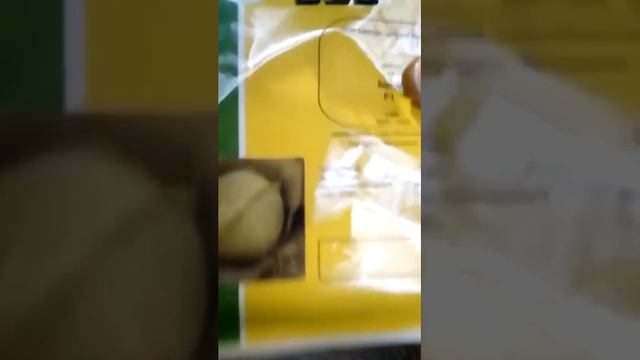 Профессиональные семена 30.10.2019 смотреть онлайн