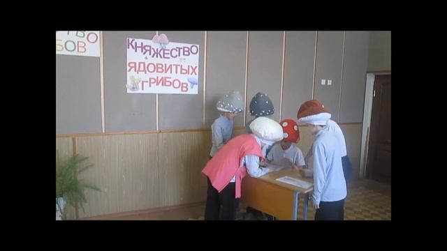 Царство грибов смотреть онлайн