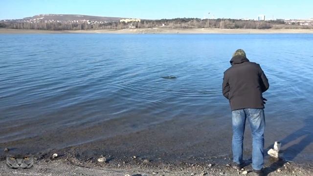 Щука! Большая мартовская щука с берега.Рыбалка Крым!!! смотреть онлайн