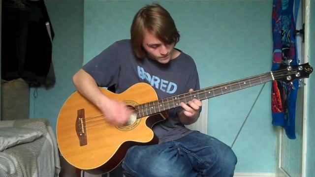 Acoustic Bass Guitar Adam Thatcher