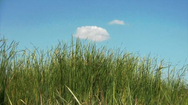 медитация 2 смотреть онлайн