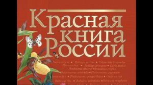 Окружающий мир 2 класс ч.1, тема урока "Красная книга", с.87-91, Школа России.