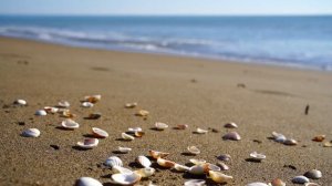 Луиза хей исцели свою жизнь | Исцели себя сам | Аффирмации на исцеление | Крепкое здоровье.