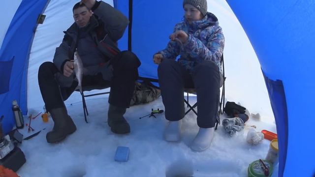 ОХОТНИКИ И РЫБОЛОВЫ ЗАПОЛЯРЬЯ. в поисках полосатого хищника смотреть онлайн