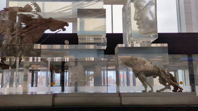 Международный аэропорт Толмачево им  А И  Покрышкина. Новосибирск, 4к видео.  4k Video.