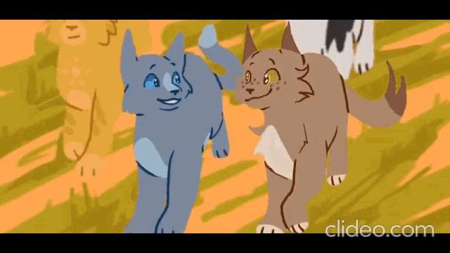 Коты воители. Дроздовик и Синяя Звезда смотреть онлайн