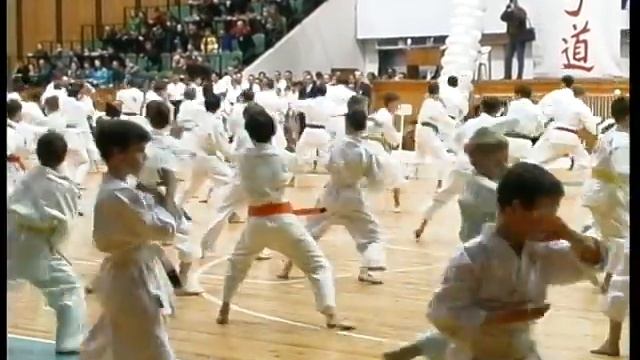 Первенство России по традиционному каратэ-до 23 апреля 2000 года Красноярск смотреть онлайн
