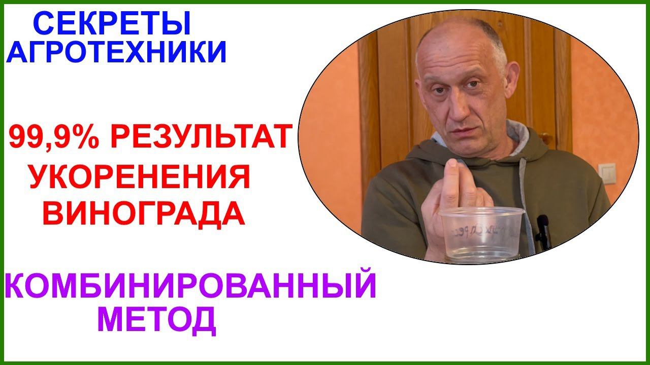 Комбинированный метод укоренения черенков винограда. 99,9% результат. смотреть онлайн