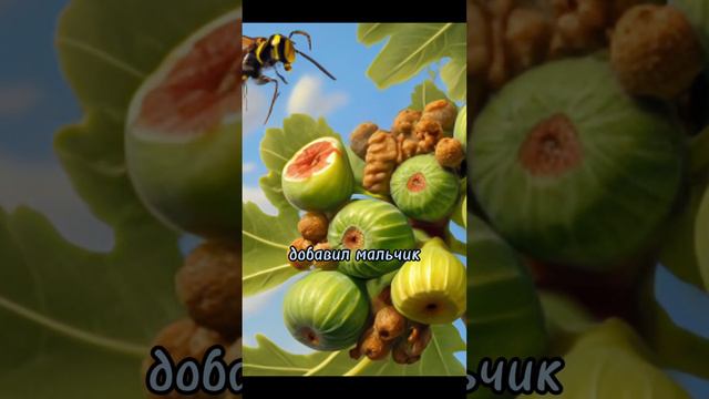 Горький инжир? Что хранят книги? смотреть онлайн