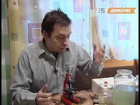 Заводчик микроорганизмов