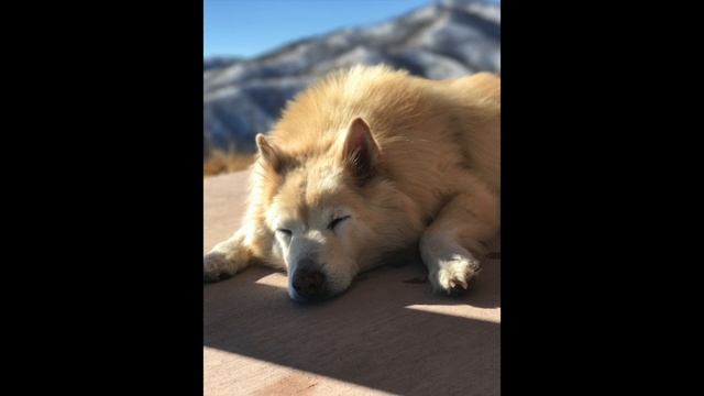 Contrast in Styles смотреть онлайн