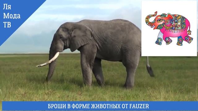 УКРАШЕНИЯ С ЖИВОТНЫМИ - БРОШИ в форме животных от FAUZER! НЕОБЫЧНЫЕ УКРАШЕНИЯ смотреть онлайн