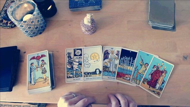 YES OR NO TO EVERY QUESTION / timeless pick a cat tarot reading смотреть онлайн