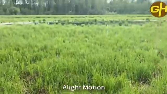 Самодельные чучела из монтажной пены. смотреть онлайн
