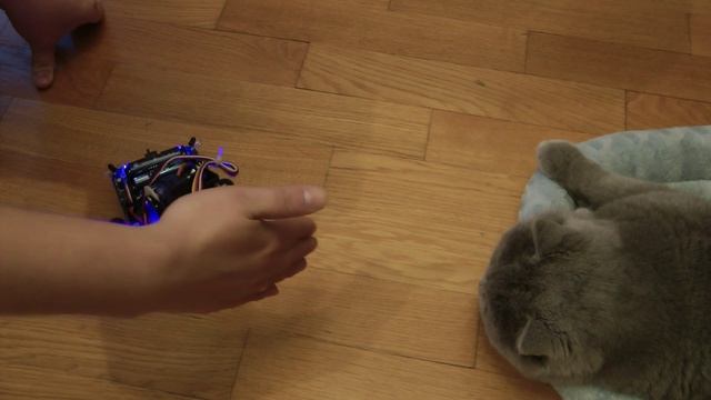Adventure Bot Interactive Robot (HD) смотреть онлайн