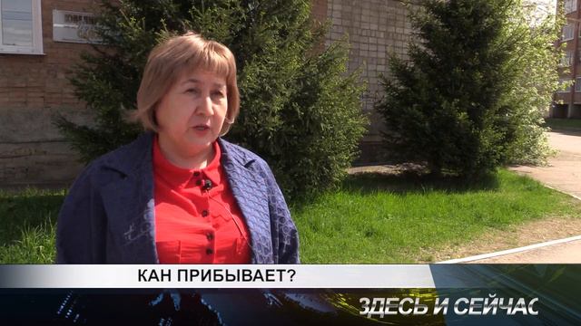 кан прибывает смотреть онлайн